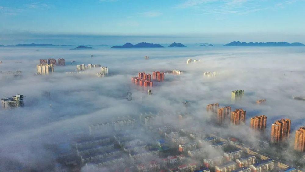河南消协曾喊话“希望永久封禁”，辛巴为何能如此快的复出？